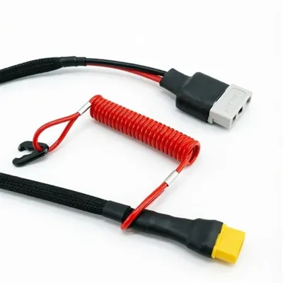 Lokakarya Listrik di Spanyol: Peran Kabel Sambungan Daya Dua{0}}Inti Khusus